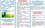 Снимок экрана 2024-11-05 202725